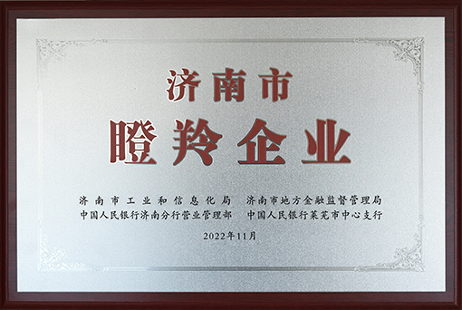 濟南市瞪羚企業(yè)